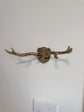 Antler Wall Hook