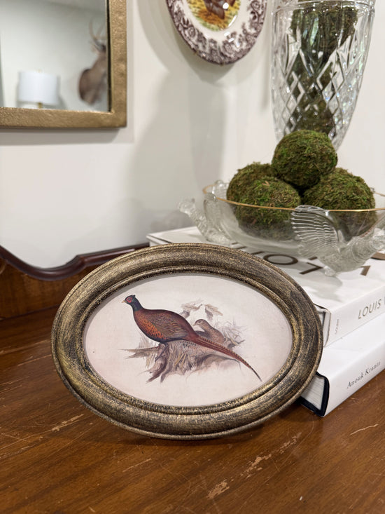 Pheasant Framed Art