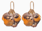 Quail Feather Earrings
